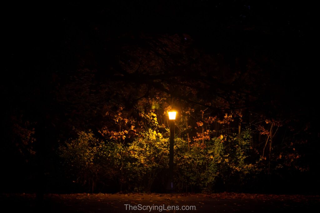 Photo from The Scrying Lens