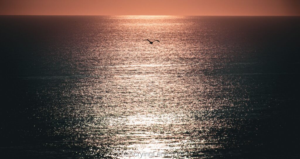 Photo from The Scrying Lens